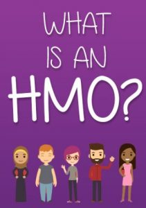 What is an HMO
